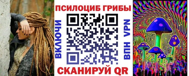 Галлюциногенные грибы Psilocybine cubensis  Ликино-Дулёво 