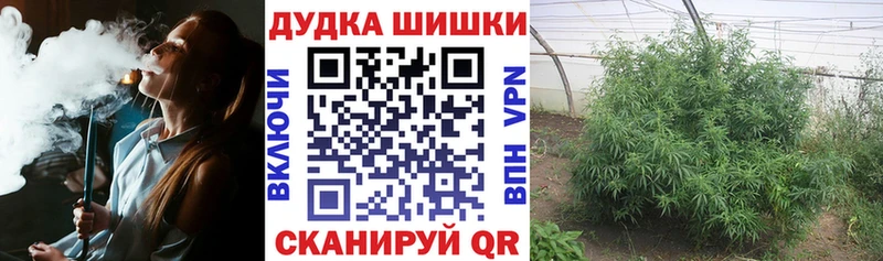 Конопля White Widow  Ликино-Дулёво 